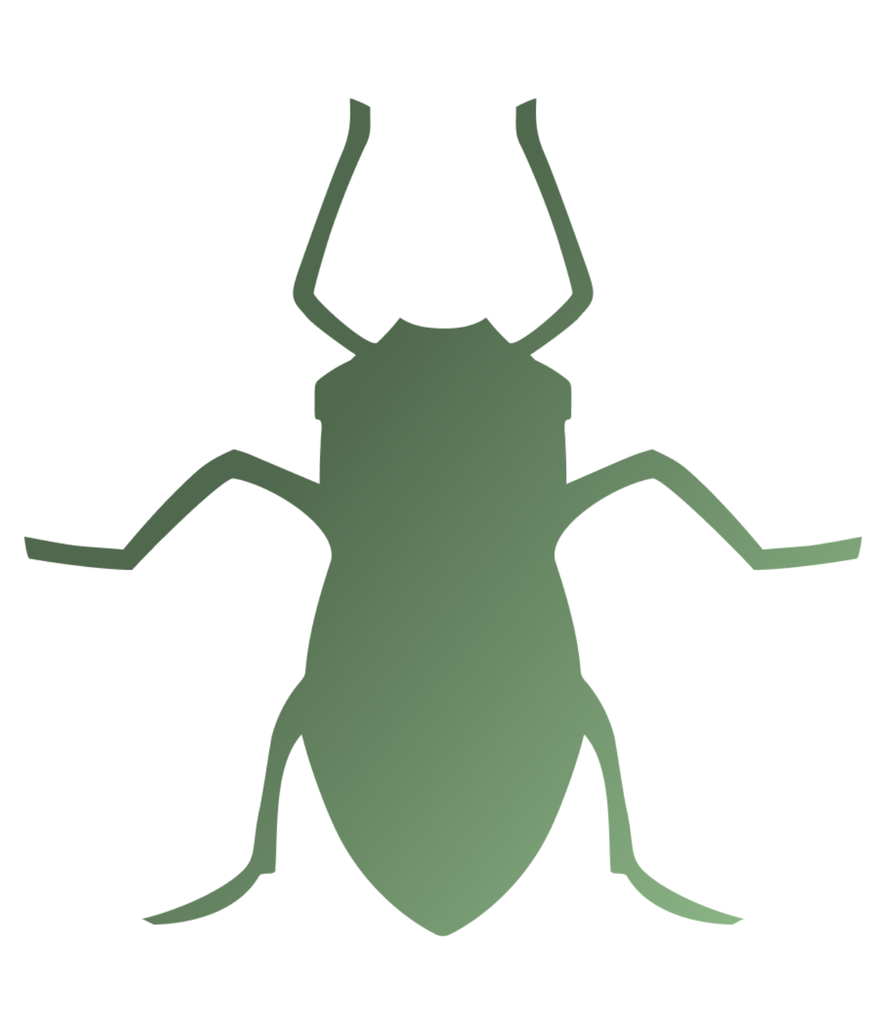 Aphid