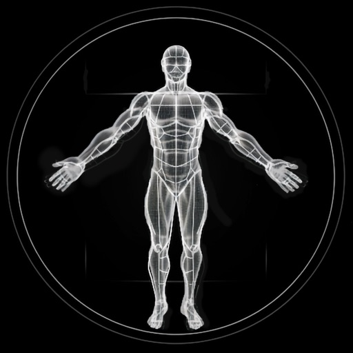 BodBot AI Workout Planner