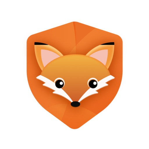 VPN Privacy Proxy