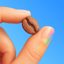 BeanBook