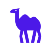CAMEL-AI