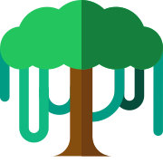 Canopy API