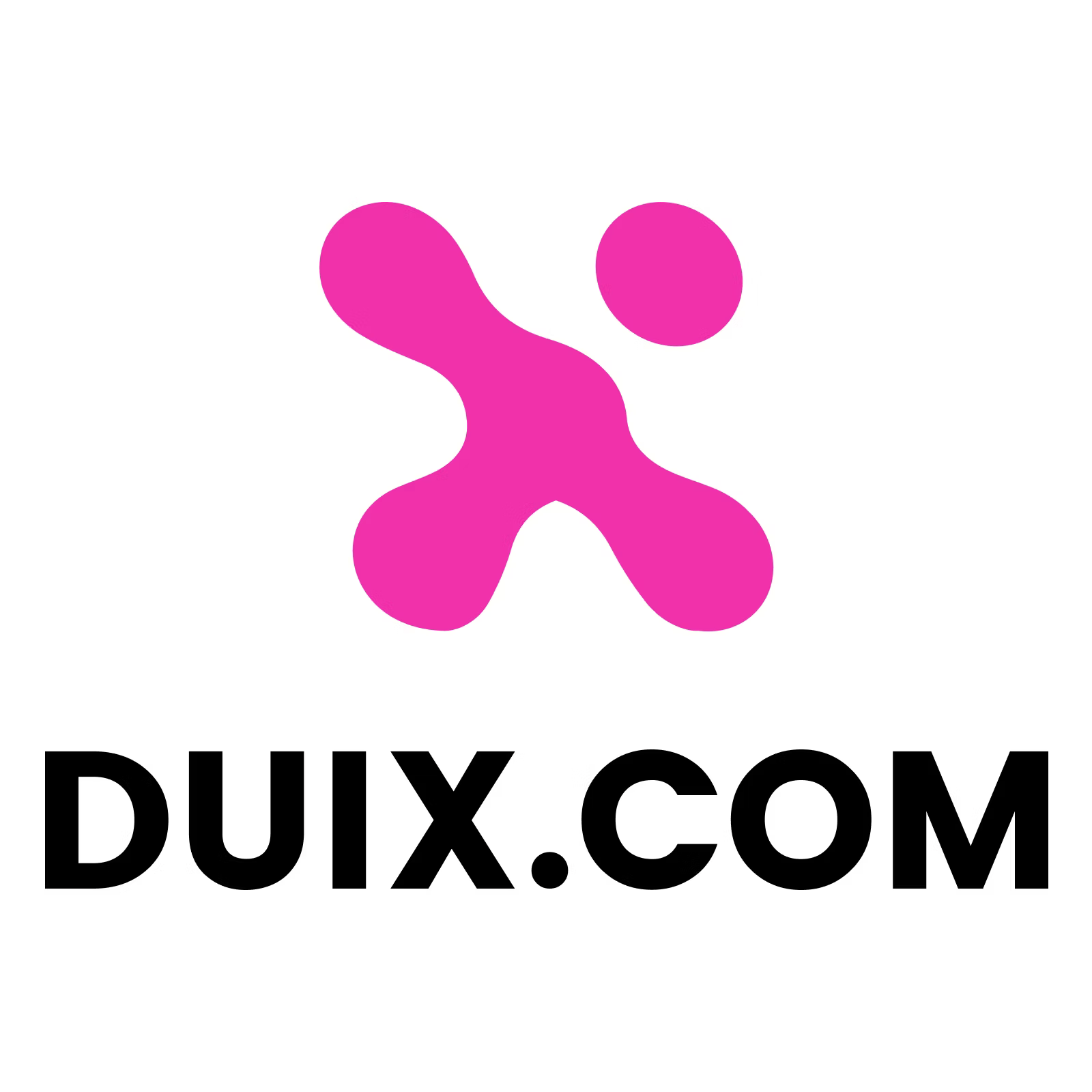 DUIX.COM