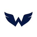 Watchwing AI assistant