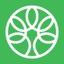 MindTree