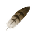 Feather AI