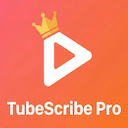 YouTube Transcript & AI Summary