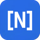 NetSuite AI Agent