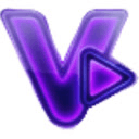 Vidools AI