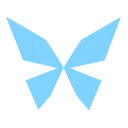 Kite