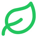 Lingua Native
