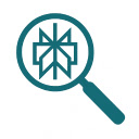 Perplexity Context Menu Search