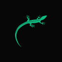 Lizard Studio