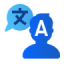 Automatic Tidio Translator