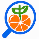 Mandarin Lens