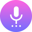 Voice Recorder