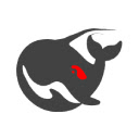 DeepSeek Advanced