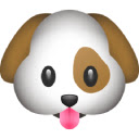 Collie Chrome Extension
