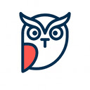TLDR Scholar AI summary tool for web pages and PDFs