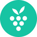 AI Meeting Notes Taker & Screen Recorder