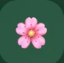 FlowPhase — Perimenopause Companion