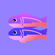 Glitch