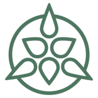 Lycaste