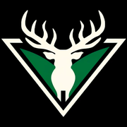 Mysports.AI