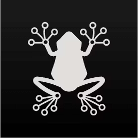 Rainfrog