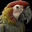 Theainavigator
