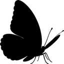 Wakeline